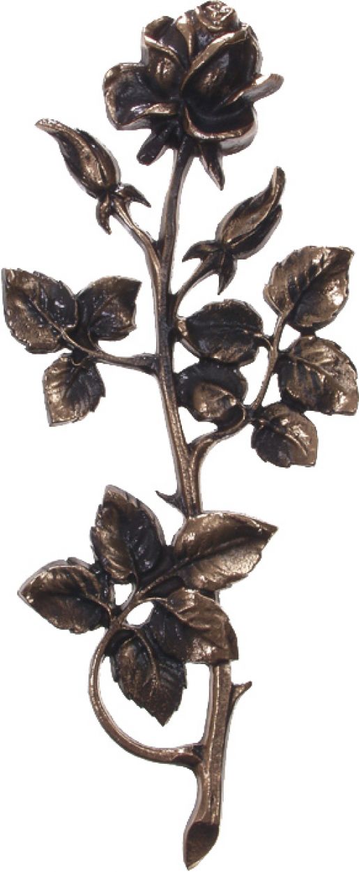 Rose 337 - Bronse - 30 cm